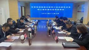  省審計(jì)廳黨組成員、副廳長(zhǎng)陳炎人到 甘肅物流集團(tuán)指導(dǎo)監(jiān)督工作